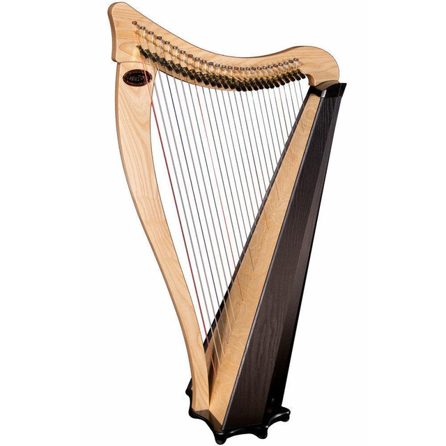Harp in String