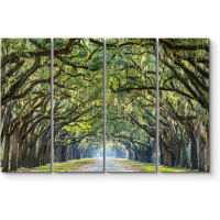 IDEA4WALL IDEA4WALL Canvas Print Wall Art Plantation Trees Forest Landscape