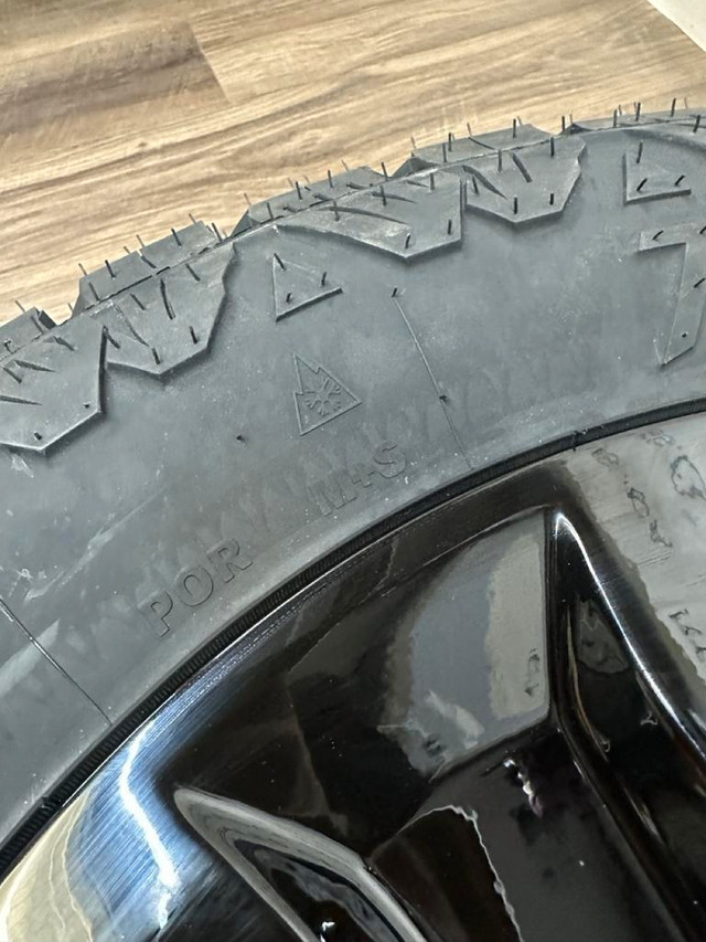 275/55/20 All weather tires on rims Ford F-150. - CANADA WIDE SHIPPING in Tires & Rims - Image 3
