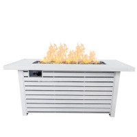 Rosecliff Heights Cameran 24.08" H x 22.08" W Stainless Steel Propane/Natural Gas Outdoor Fire Pit Table with Lid