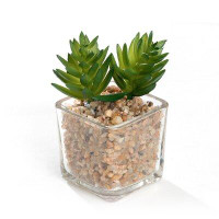 Primrue 3 - Piece Artificial Succulent Plant in Pot Set