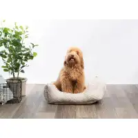 Tucker Murphy Pet™ Tucker Murphy Pet™ - Luxury Dog Bed - Clipped Jacquard Cuddler For Small To Medium Dogs - Machine Was