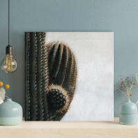 Foundry Select Cactus Plant 5 - 1 Piece Square Graphic Art Print On Wrapped Canvas