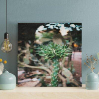 Foundry Select Green Plant In Close Up Photography 1 - 1 Piece Square Graphic Art Print On Wrapped Canvas