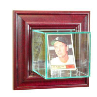 Perfect Cases and Frames Wall Mounted Card Display Case