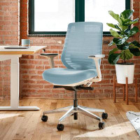 Hokku Designs Ergonomic Chair - A Versatile Desk Chair With Adjustable Lumbar Support, Breathable Mesh Backrest, And Smo