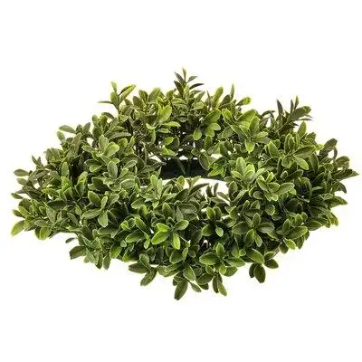 Ophelia & Co. American Boxwood Candering 11"