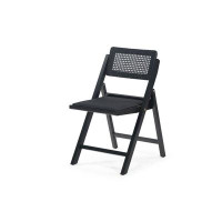 Bayou Breeze Amicon Folding Dining Chair