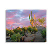 Stupell Industries Stupell Industries Pink Sunrise Arid Cactus Plants Canvas Wall Art By Dennis Frates
