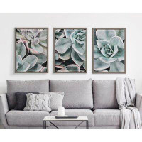 Dakota Fields Botanical Succulent Plants 3 by The Creative Bunch Studio - Picture Frame Photograph on Glass