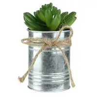 Northlight Seasonal 5" Green And Silver Coloured Artificial Pachyveria Succulent In Tin Planter With Twine Bow