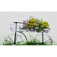 Ophelia & Co. Hanceville Metal Bicycle Planter Box