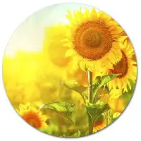 Design Art 'Bright Sunflowers Blooming on Field' Photographic Print on Metal