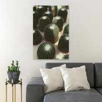 MentionedYou Green Cactus Plants On Grey Sand - 1 Piece Rectangle Graphic Art Print On Wrapped Canvas