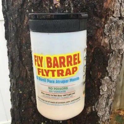 No one likes flies, but flies love us – over and over again in the reusable Fly Barrel. This tidy, i...