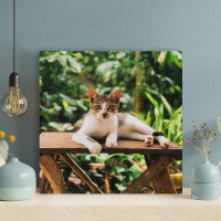 Red Barrel Studio A Cat Lying On Wooden Table In The Garden - 1 Piece Square Graphic Art Print On Wrapped Canvas