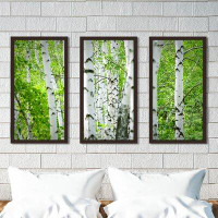 Picture Perfect International Birch Trees I - 3 Piece Picture Frame Photograph Print Set on Acrylic