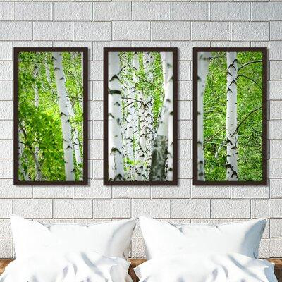Picture Perfect International Birch Trees I - 3 Piece Picture Frame Photograph Print Set on Acrylic in Home Décor & Accents