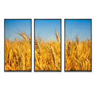 August Grove Bright Golden Wheat Field - Landscape Framed Canvas Wall Art Set Of 3
