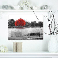 East Urban Home Landscapes 'Empty Bench Overlooking Red Tree' Photographic Print on Wrapped Canvas