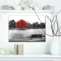 East Urban Home Landscapes 'Empty Bench Overlooking Red Tree' Photographic Print on Wrapped Canvas