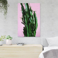 Foundry Select Green Cactus Plant In Close Up Photography 2 - 1 Piece Rectangle Graphic Art Print On Wrapped Canvas