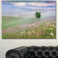 Design Art Foggy Summer Morning in Mountains - Wrapped Canvas Photograph Print