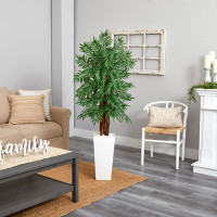 Bayou Breeze 5.5" Parlour Palm Plant in Tower Planter