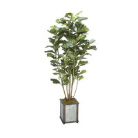 Primrue 5.5' Fiddle Leaf Figtree In Square Wood And Metal Planter