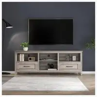 Millwood Pines TV Stand for Living Room and Bedroom, with 2 Drawers and Storage Compartment