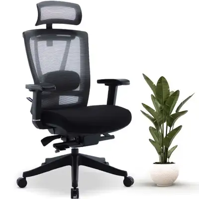 MotionGrey Cloud Mesh Series Executive Ergonomic Computer Desk Home Office Chair with 4D Armrest &amp; Lumbar Support- B