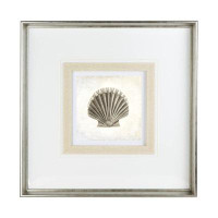 Rosecliff Heights Vintage Scallop Shell