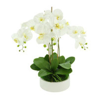The Twillery Co. Orchid Floral Arrangement in Planter