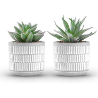 Union Rustic Set Of 2 Succulents Plants Artificial Fake Plants For Living Room Bathroom Bedroom Aesthetic Home Kitchen D