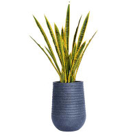 Vintage Home 47.08" Artificial Snake Plant in Planter