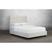 Canora Grey Waloo Tufted Upholstered Storage Platform Bed