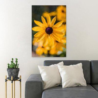 Gracie Oaks Yellow Flower In Macro Lens Photography - 1 Piece Rectangle Graphic Art Print On Wrapped Canvas