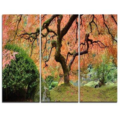 Design Art Old Japanese Maple Tree - 3 Piece Graphic Art on Wrapped Canvas Set in Arts & Collectibles