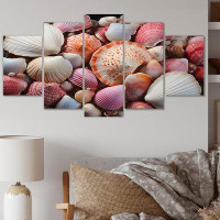 Highland Dunes Pink White Shells Seashore Collage I - Animals Wall Art Print - 5 Panels