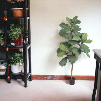 Primrue 5Ft Fiddle Tree In Black Pot With 34 Silk Leaves