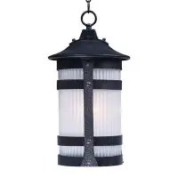 Latitude Run® Jannie 1-Light Outdoor Hanging Lantern