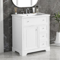 Winston Porter 30" Bathroom Vanity With Sink Top, Bathroom Vanity Cabinet With Door And Two Drawers