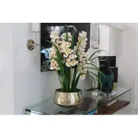 CFA Design Group Orchids Floral Arrangement And Centerpiece In Planter