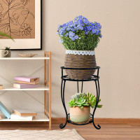 Charlton Home 19.3Inch Tall Metal Plant Stand, 2 Tier Potted Plant Shelf For Indoor Outdoor, Black