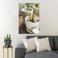 Foundry Select Green Cactus Plant In White Pot 1 - 1 Piece Rectangle Graphic Art Print On Wrapped Canvas