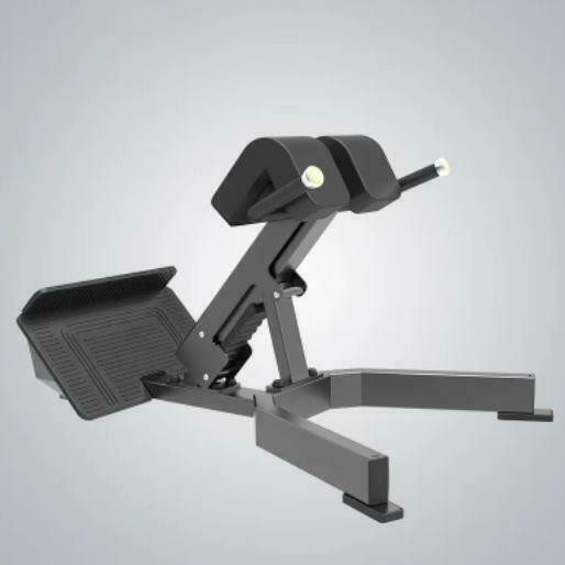 FREE SHIPPING CODE IS eSPORT (NEW eSPORT LOWER BACK BENCH D979 in Exercise Equipment
