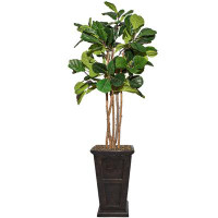 Vintage Home 60"H Real Touch Fig Tree With Eco Planter (33X33x60")