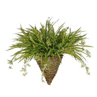 Highland Dunes Faux Spider Hanging Foliage Plant in Planter