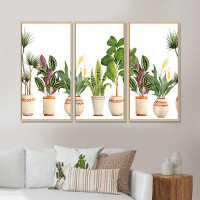Design Art Trio Of Houseplants Sanseviera Snake Plant - Farmhouse Framed Canvas Wall Art Set Of 3