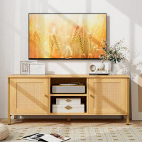 House of Hampton Boho TV Stand For TV Up To 55 Inches With Faux Rattan Door